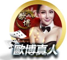 wk娛樂城官方站