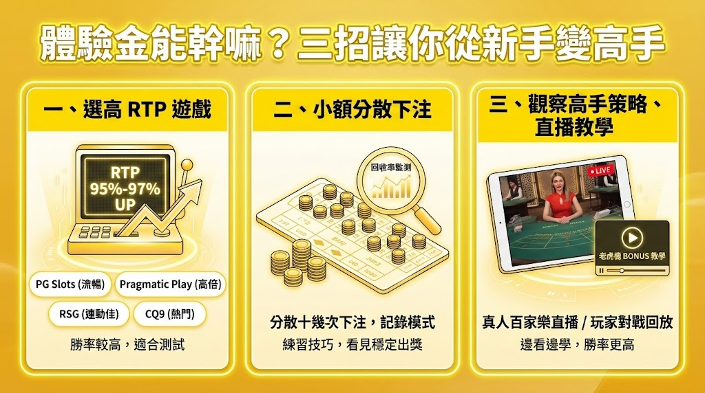 wk娛樂城官方站